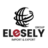 Elesely Group Logo